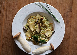 Kräuterseitling-Risotto