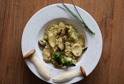 Kräuterseitling-Risotto