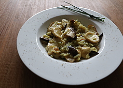 Kräuterseitling-Risotto