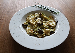 Kräuterseitling-Risotto