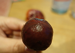 Goldröhrling