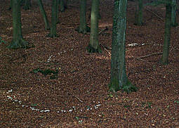Nebelkappe