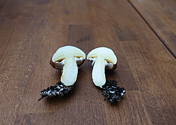 Butterpilz