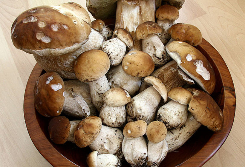 Sienisaalati (Finnischer Pilzsalat)