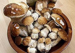 Sienisaalati (Finnischer Pilzsalat)