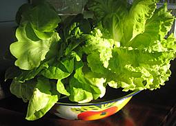 Sienisaalati (Finnischer Pilzsalat)